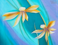 pareoromashky_002